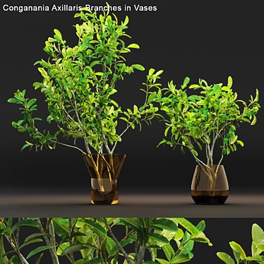 Conganania Axillaris Branches - Elegant Vase Decor 3D model image 1 