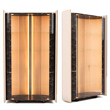 Luxury Wood and Leather Vitrine 3D model image 1 