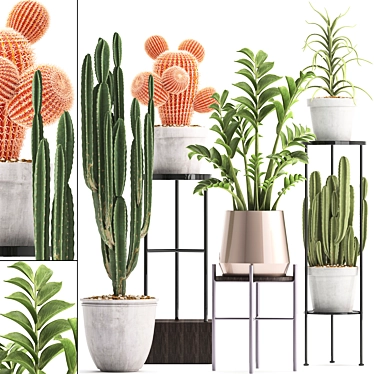 Exotic Plant Collection: Cactus Set 3D model image 1 