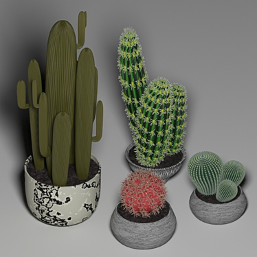 Desert Oasis: 4-Piece Cactus Set 3D model image 1 