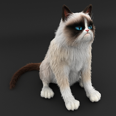 Grumpy Cat Contest: Enter Now! 3D model image 1 
