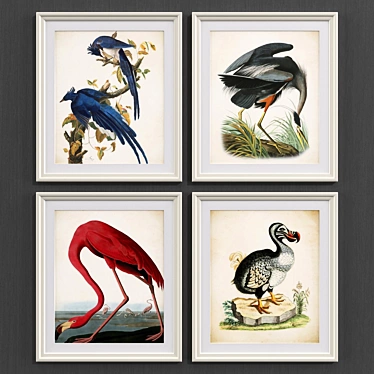 Modern Bird Collection - Set of 3 3D model image 1 