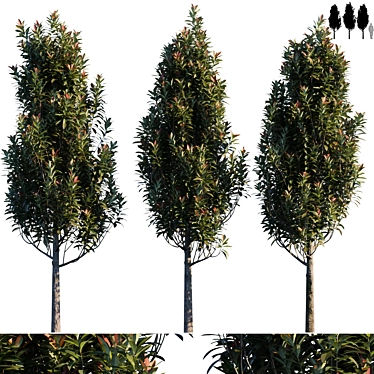 Versatile Garden Tree: Perfect for Fences & Privacy 3D model image 1 