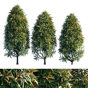 Natural Garden Tree: Versatile and Detailed 3D model image 1 
