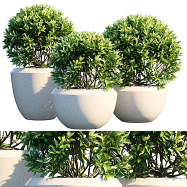 Leafy Oasis: Potted Plant #8 3D model image 1 