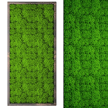 Evergreen Moss Wall Decor 3D model image 1 