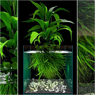Ocean Green Seaweed Aquarium 3D model image 1 