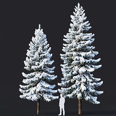 Snowy Spruce #6 - 8,10m Height 3D model image 1 