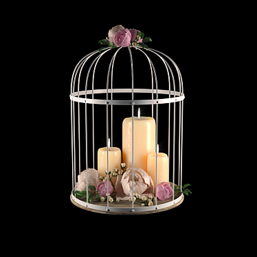 Decorative cage