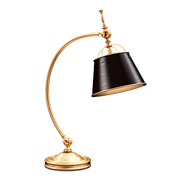 Griffiths & Griffiths 77825 Brass Desk Lamp 3D model image 1 