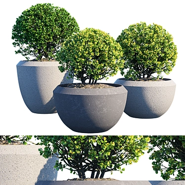 Blooming Beauty: Colorful Potted Plant 3D model image 1 