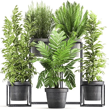 Exotic Indoor Plant Collection 3D model image 1 