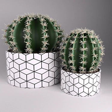 Title: Modern Potted Cactus 3D model image 1 