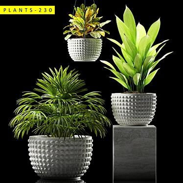 Maximize Your Greenery: 230 Plant Varieties 3D model image 1 