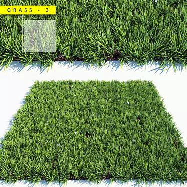 Lush Green 3D Grass Pack 3D model image 1 