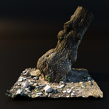 Realistic Tree Trunk Model 3D model image 1 