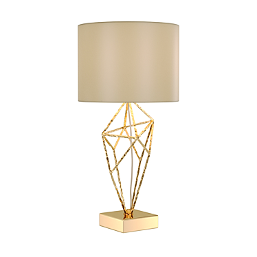 Luxury Naomi Tucci Gold Lamp 3D model image 1 