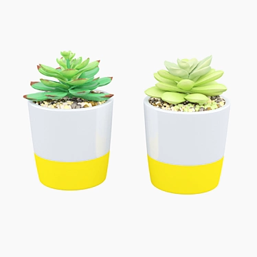 Duo Succulent Set: Potted Beauty 3D model image 1 