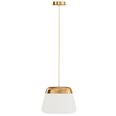 Ice Absolute Copper Pendant Light 3D model image 1 