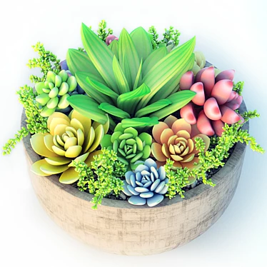 Sleek Succulent Plant Pot 3D model image 1 