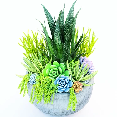 Vibrant V-Ray Succulent: Lush and Lifelike! 3D model image 1 