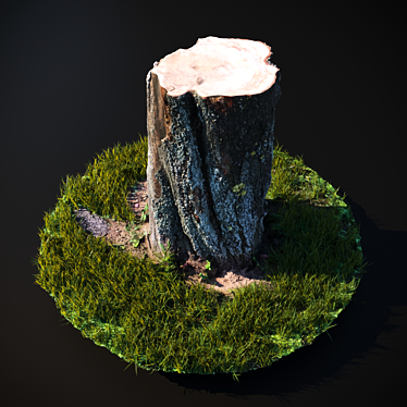 Scanned Stump with Grass Trim 3D model image 1 