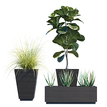 Modern Hallway Plant in Pot 3D model image 1 