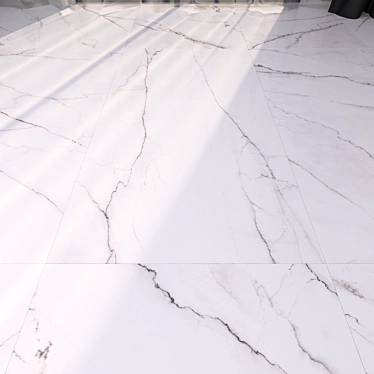 Elegant Marble Floor Tiles 3D model image 1 