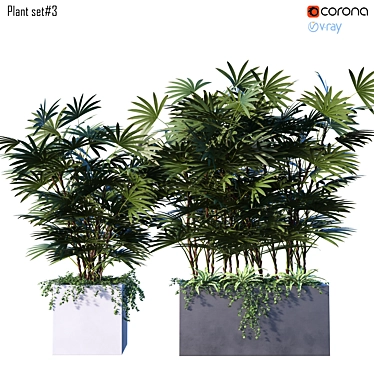 Stunning Plant Set for Vray + Corona 3D model image 1 