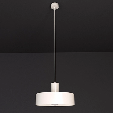 Contemporary White Metal Pendant Light 3D model image 1 