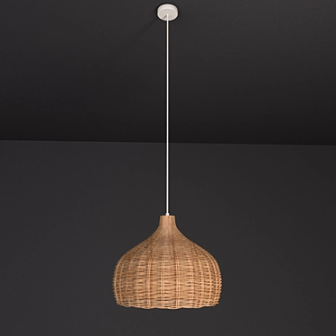 HAWAI Wooden Pendant Light 3D model image 1 