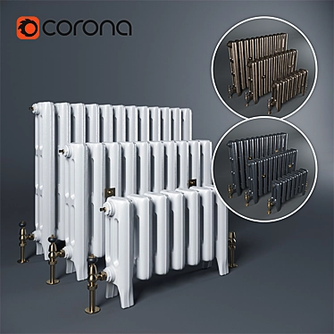 Vintage-Inspired Cast Iron Radiators 3D model image 1 