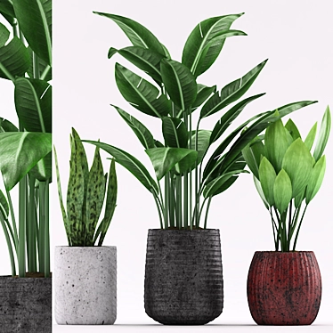 Colorful Indoor Plants Set 3D model image 1 