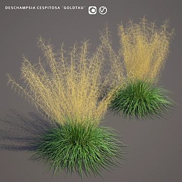 Golden Pike Turf | Luxurious Deschampsia 3D model image 1 