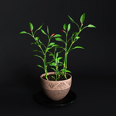 Spanish Homegrown Pepper 3D model image 1 