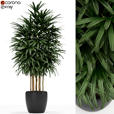 171 Plants Collection for Home 3D model image 1 