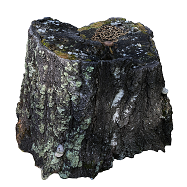 Title: Realistic Forest Stump Sculpture 3D model image 1 