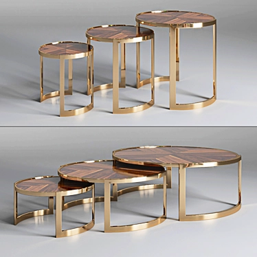 Anya Fendi Casa Coffee Table - Elegant Design, Various Sizes 3D model image 1 