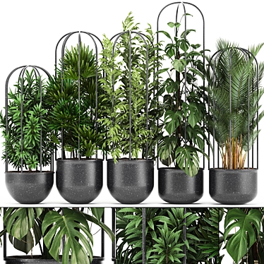 Exotic Indoor Plant Collection 3D model image 1 