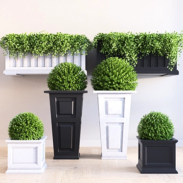 Mayne Planter Set