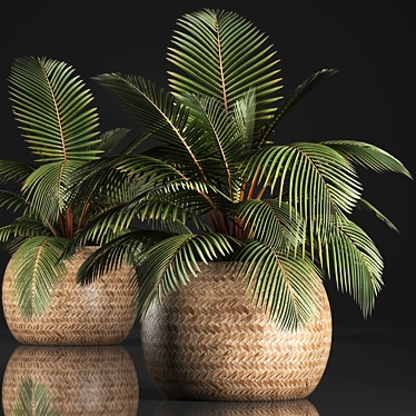 Exotic Palm Collection in Rattan Pot 3D model image 1 