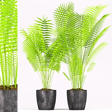 Tropical Palm Plant in Concrete Pot 3D model image 1 