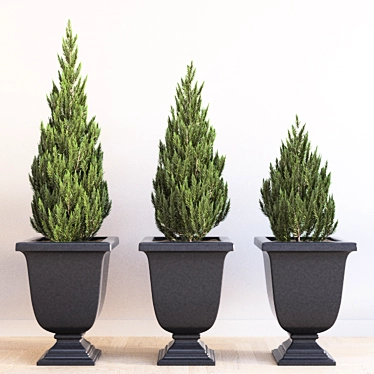 Elegant Augusta Planter Set 3D model image 1 