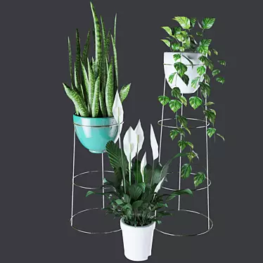 Tropical Harmony: Indoor Plant Collection 3D model image 1 