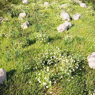 LushLandscaping Set02: Realistic Translucent Grass 3D model image 1 