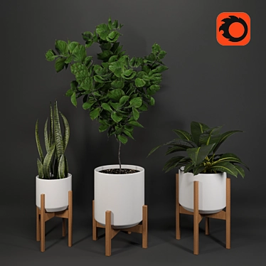 Tropical Oasis Collection - Set of 4 Indoor Plants 3D model image 1 