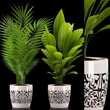 Tropical Greenery: Palm & Aspidistra Plant 3D model image 1 