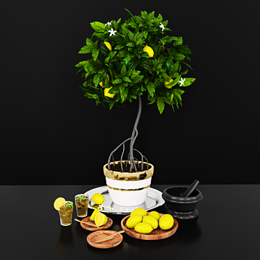 Luxury Lemon Tree: Decorative Set 3D model image 1 