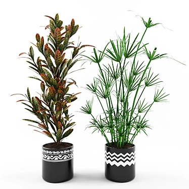 Tropical Plant Collection: Croton & Umbrella Papyrus 3D model image 1 