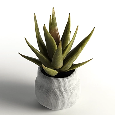 Realistic Faux Aloe Plant in Pot 3D model image 1 